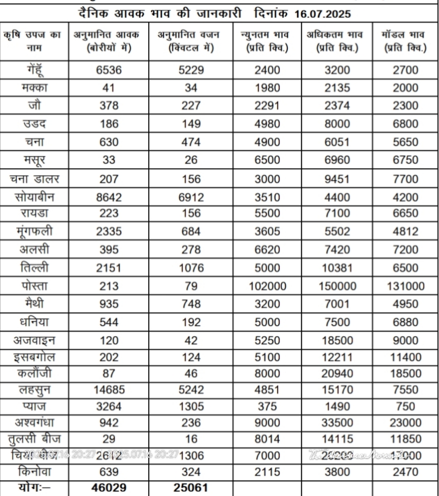 नीमच मंडी में बढ़ा व्यापारिक उतार-चढ़ाव: