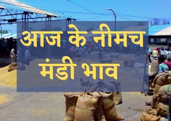 मंडी भाव: