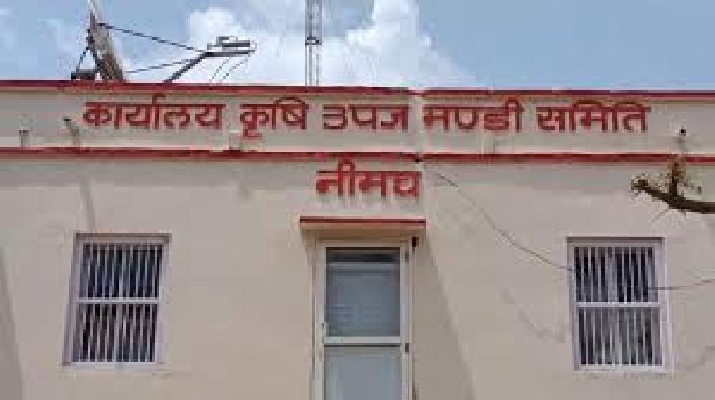 कृषि उपज मंडी नीमच में दो दिन रहेगा अवकाश