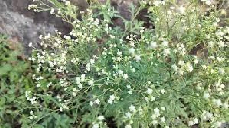 संपादकीय: