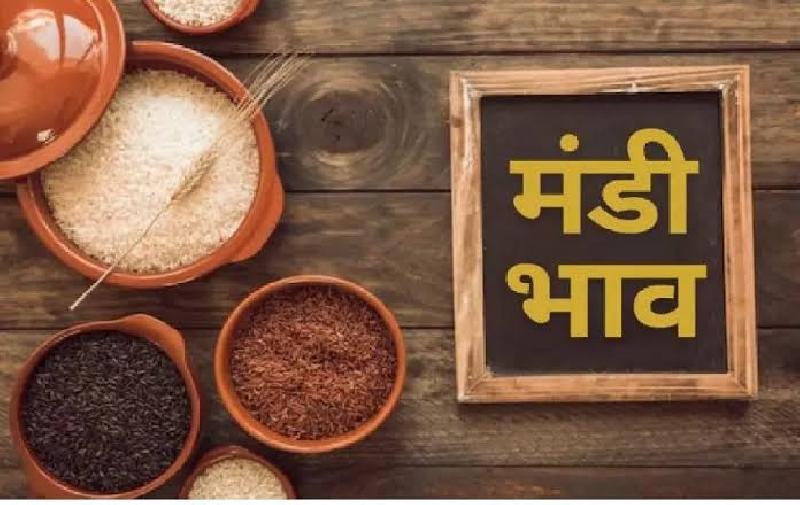 नीमच मंडी में सोयाबीन और गेहूं की रही अधिक आवक, नगदी फसलों ने पकड़ी रफ्तार